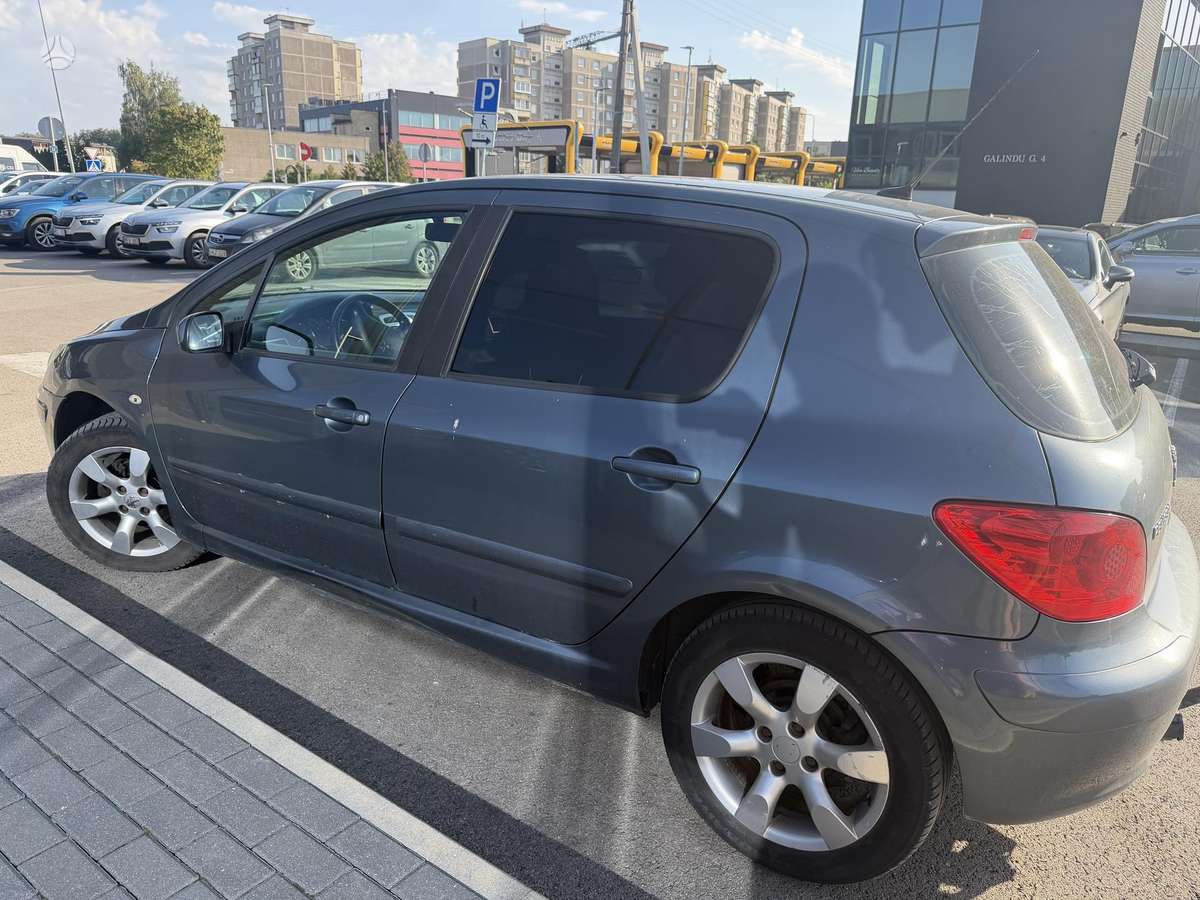 Peugeot 307 - 6