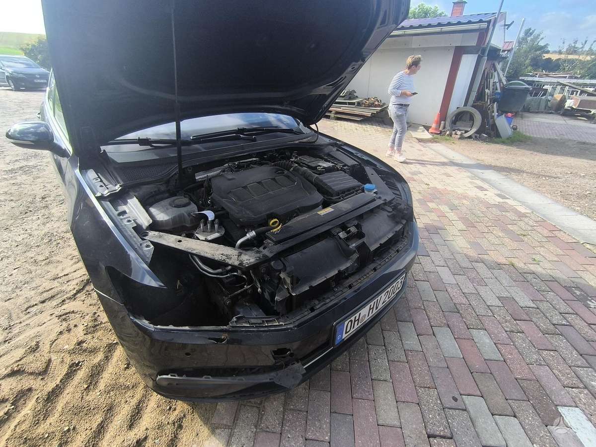 Volkswagen Passat - 8