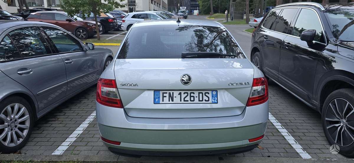 Škoda Octavia - 2
