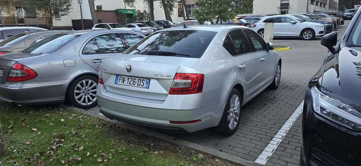 Škoda Octavia - 9