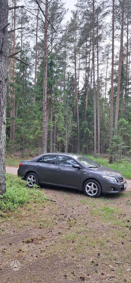 Toyota Corolla - 5
