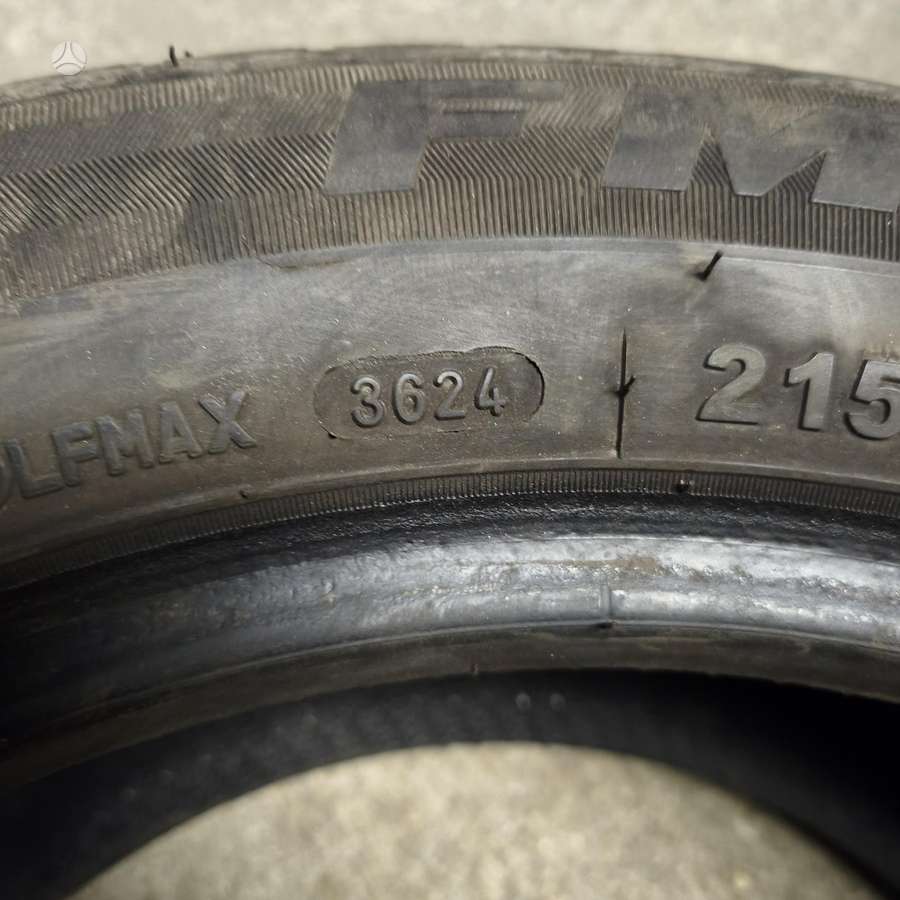 Firemax Fm805, winter 215/55 R16