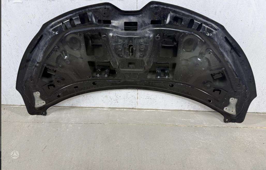 Renault Scenic dangtis (priekinis, galinis)