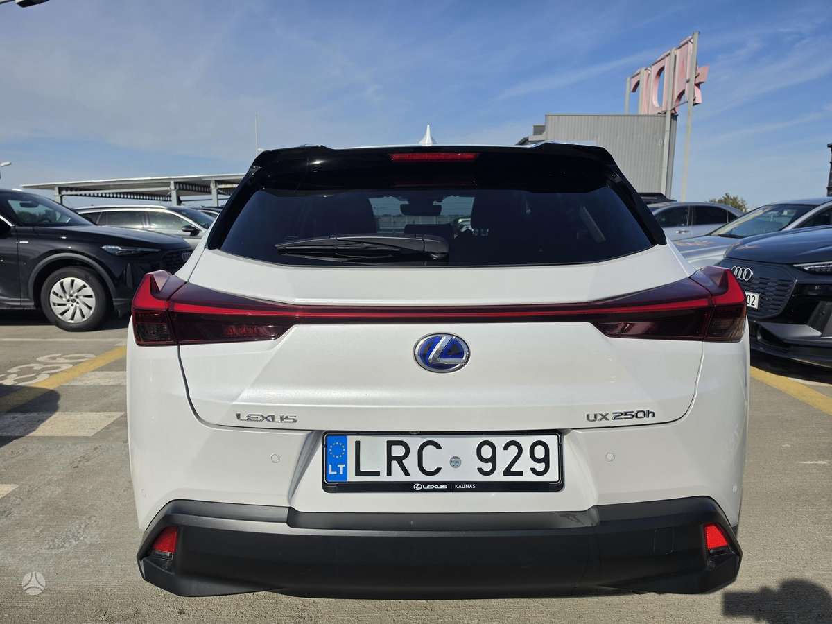 Lexus UX 250h - 10
