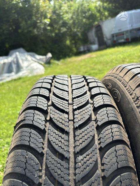 Debica Frigo, winter 195/65 R15