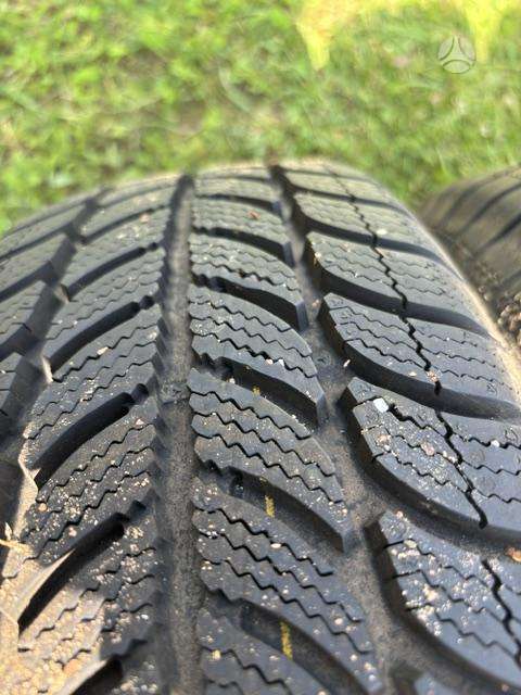Debica Frigo, winter 195/65 R15
