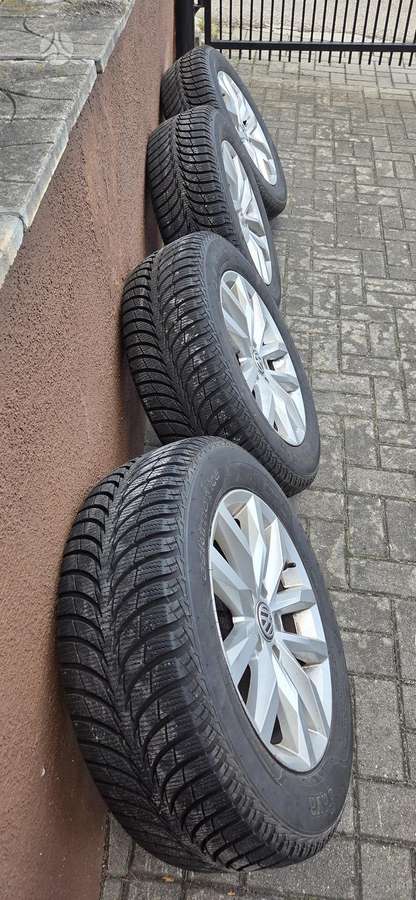 Sava Eskimo Ice, žieminės 215/60 R16