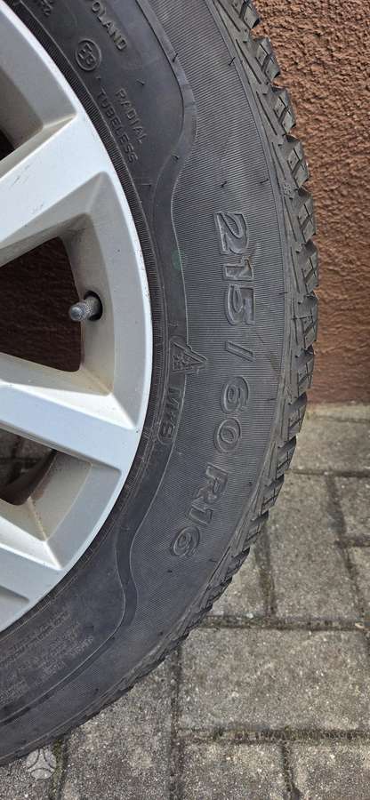 Sava Eskimo Ice, žieminės 215/60 R16