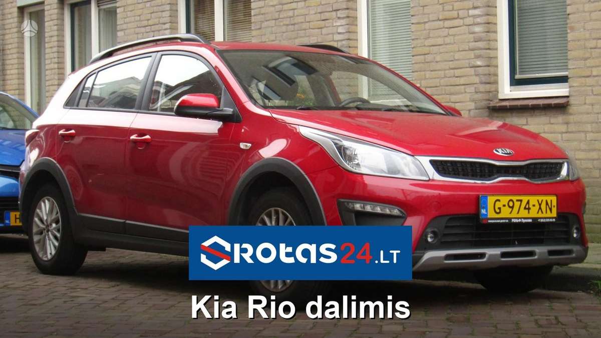 Kia Rio Greitam susisiekimui naudokite whatsapp https wa me 3706542