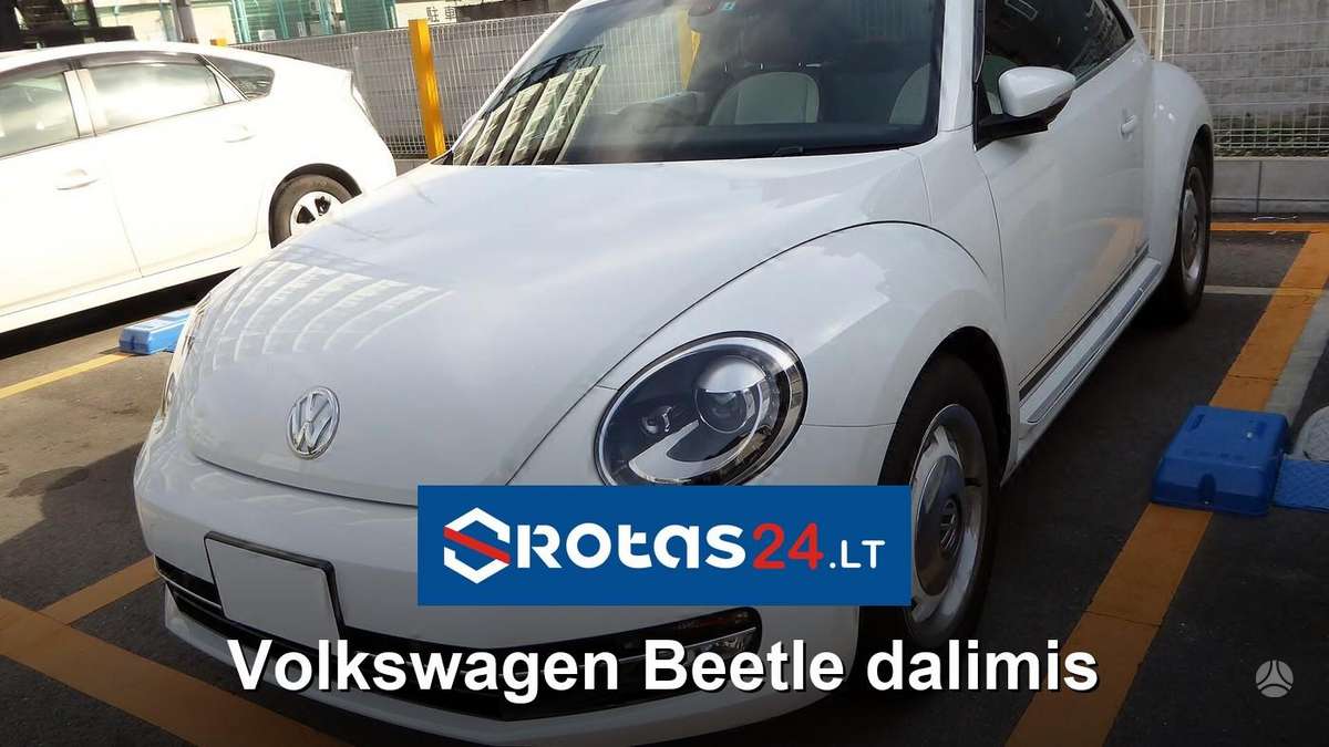 Volkswagen Beetle Greitam susisiekimui naudokite whatsapp https wa me 3706542