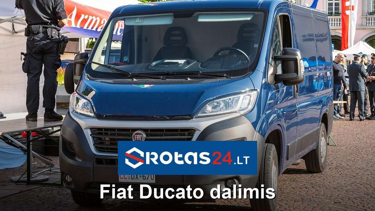 Fiat Ducato, cargo vans