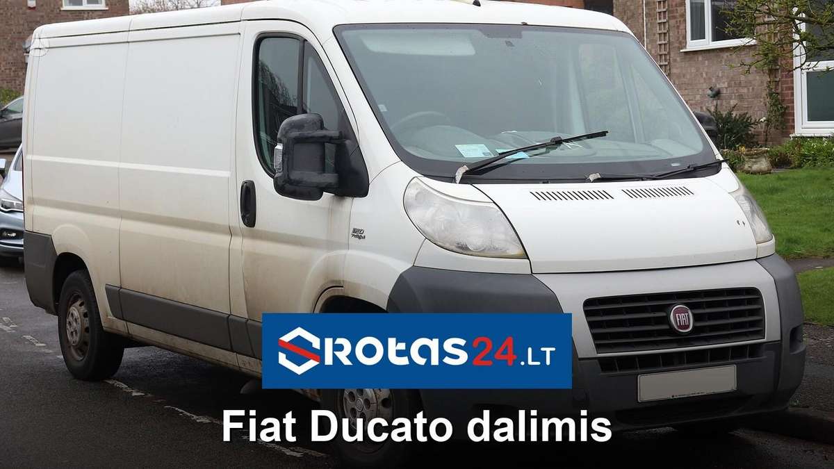 Fiat Ducato, cargo vans