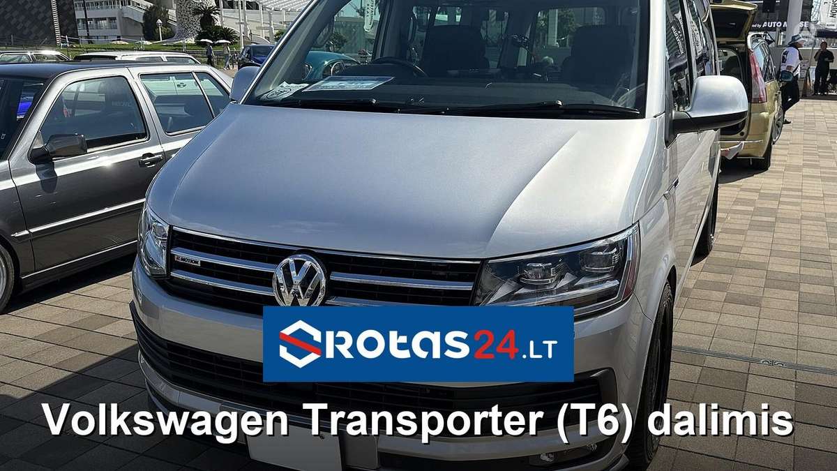 Volkswagen Transporter (T6), cargo vans