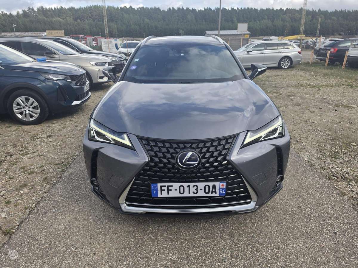 Lexus UX 250h - 1