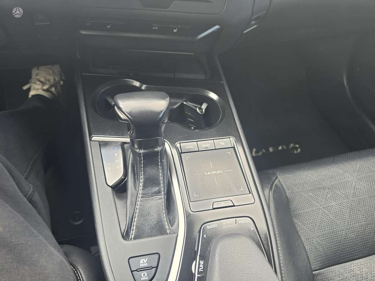Lexus UX 250h - 10
