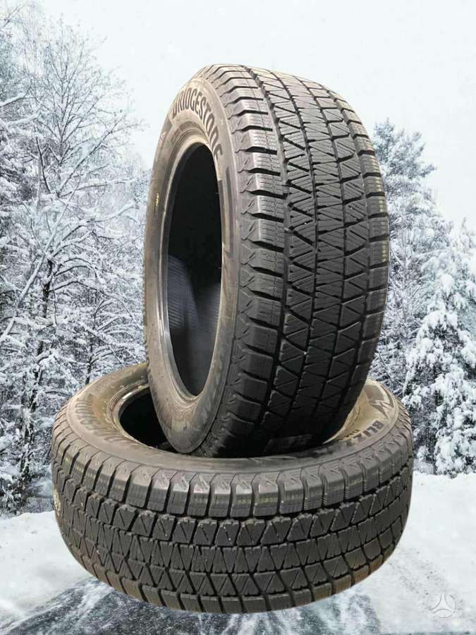 Bridgestone BLIZZAK DM-V3, winter 255/55 R20