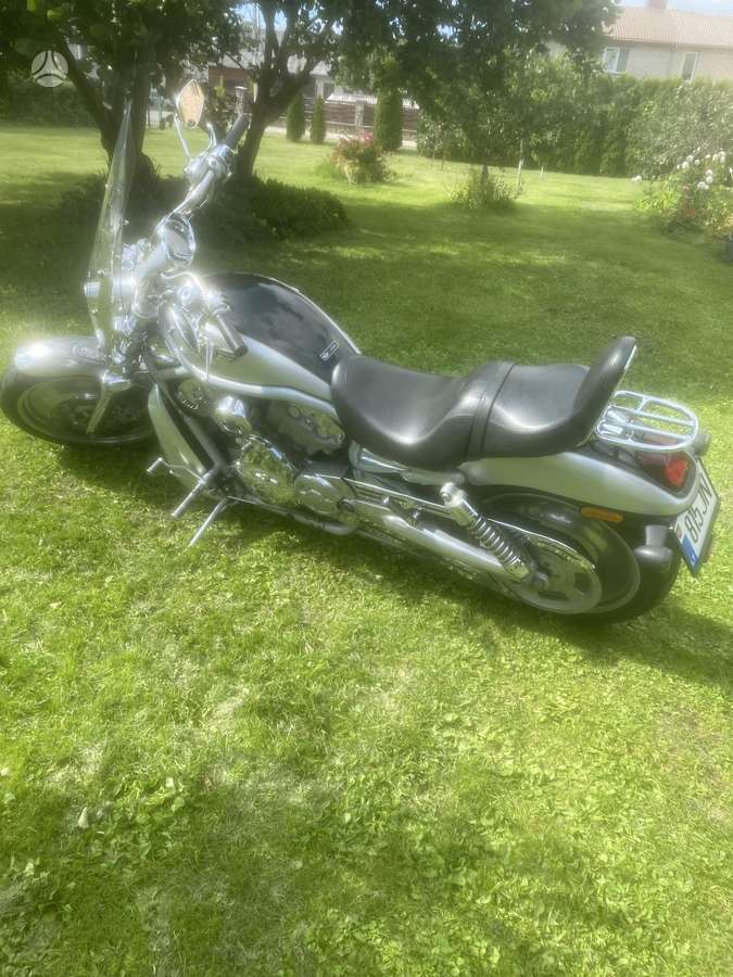 Harley-Davidson VRSCA 1300cc, choppers / cruisers / custom