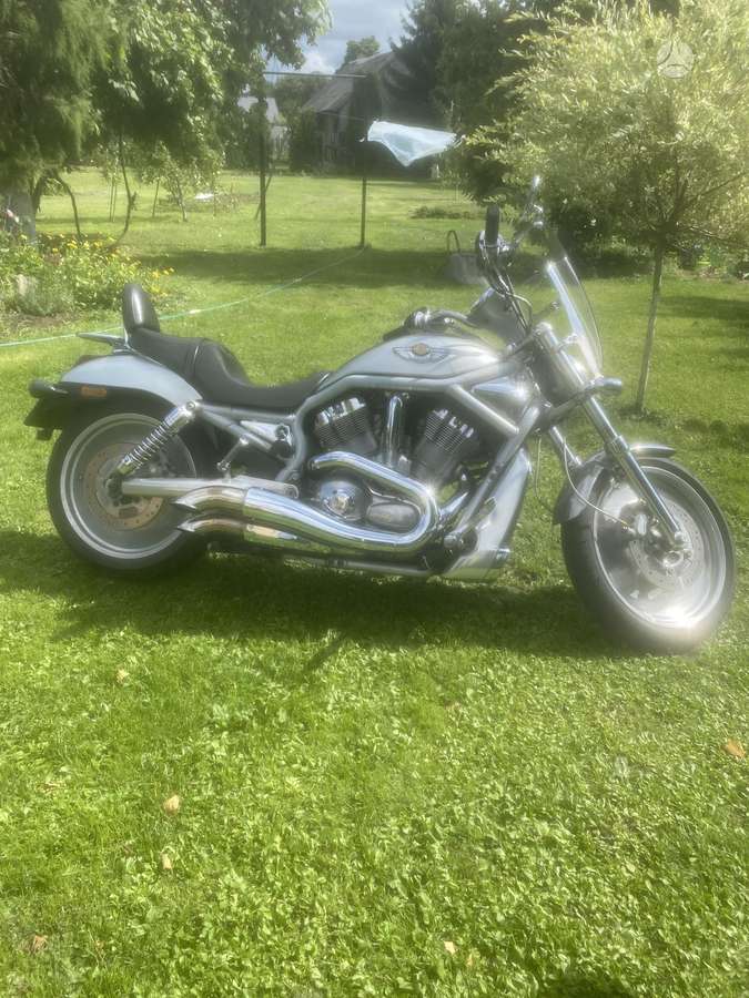 Harley-Davidson VRSCA 1300cc, choppers / cruisers / custom