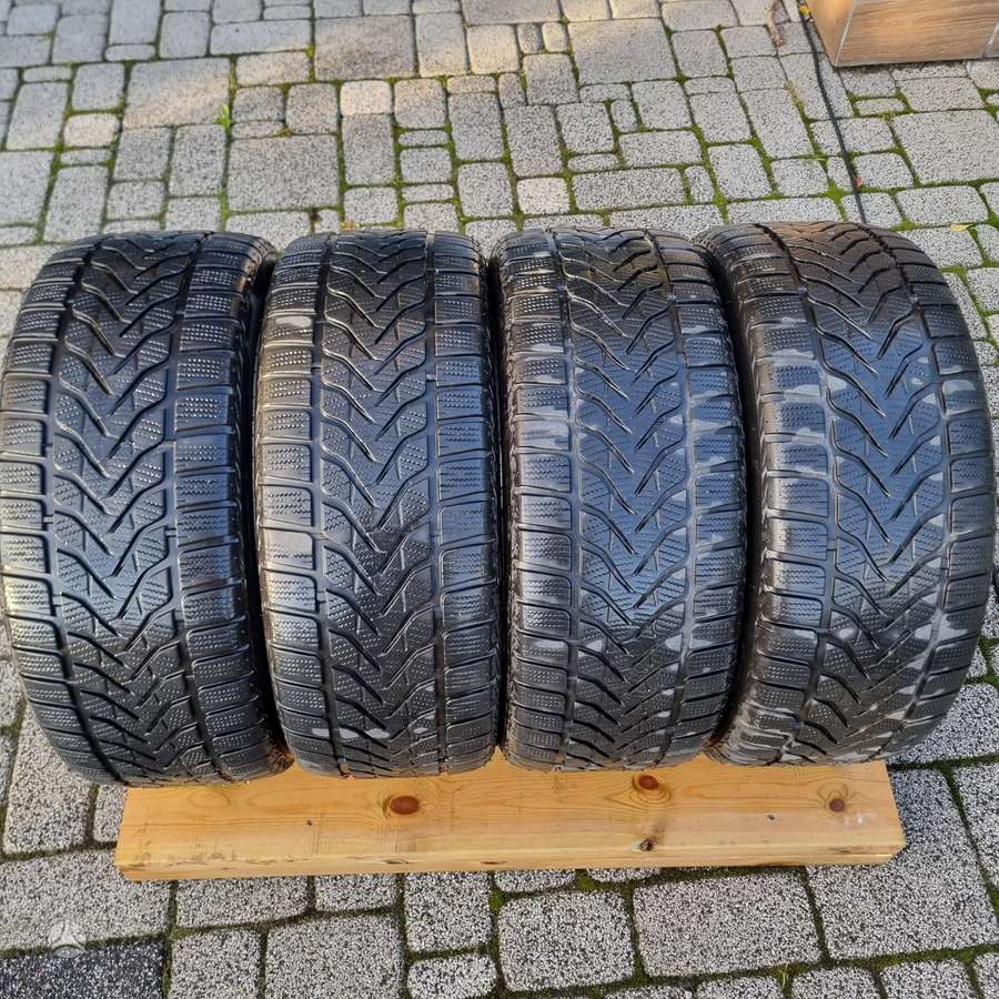 Lassa Competus Winter 2, зимние 225/50 R18
