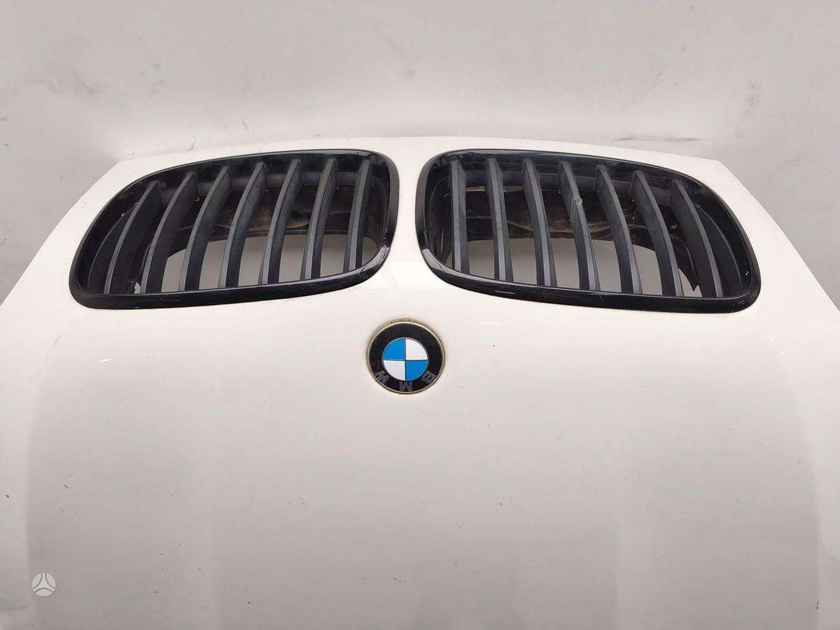 BMW X5 hood (front, rear)