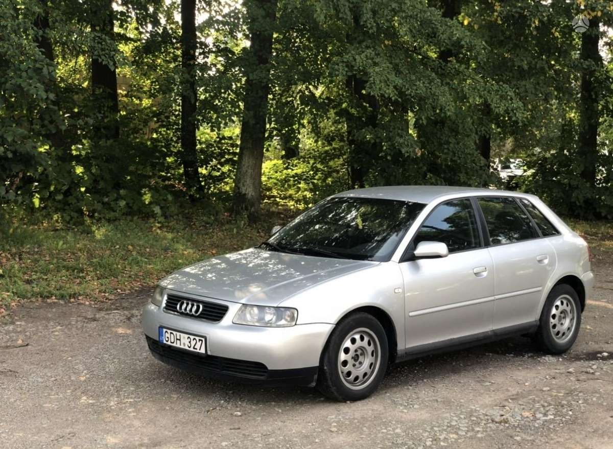 Audi A3, hečbeks