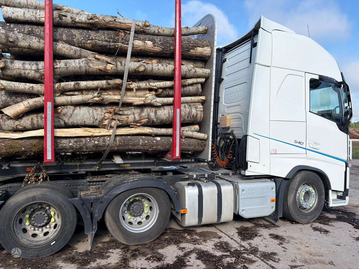 Volvo FH, timber trucks