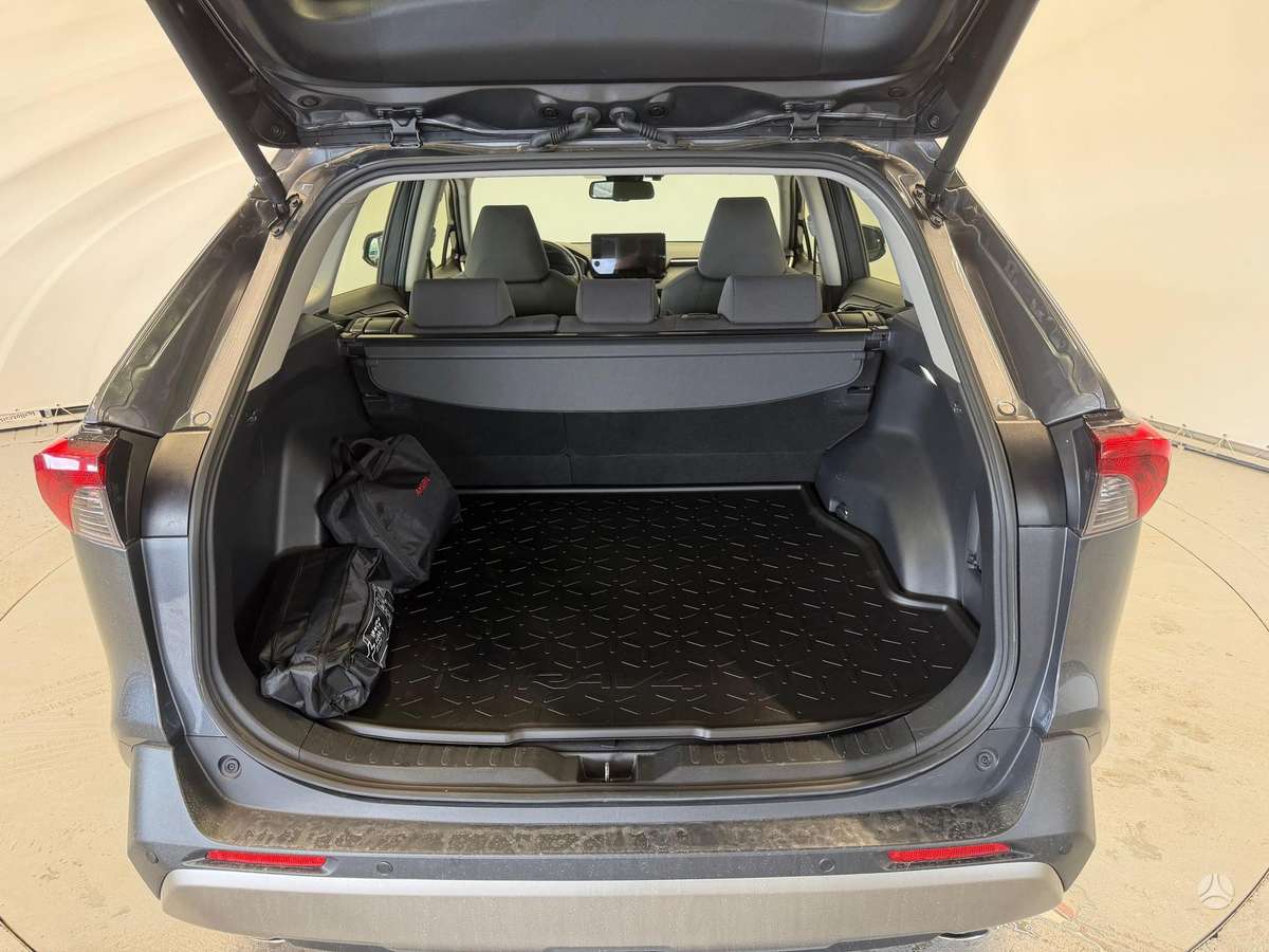 Toyota RAV4 - 10