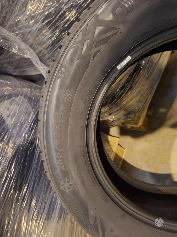 Sailun ALPINE EVO 2, winter 265/60 R18