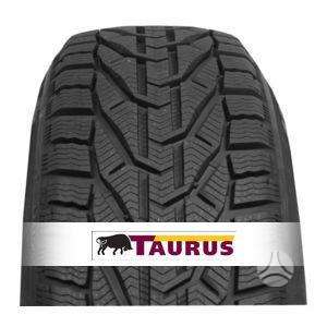 Taurus Winter, winter 205/65 R15