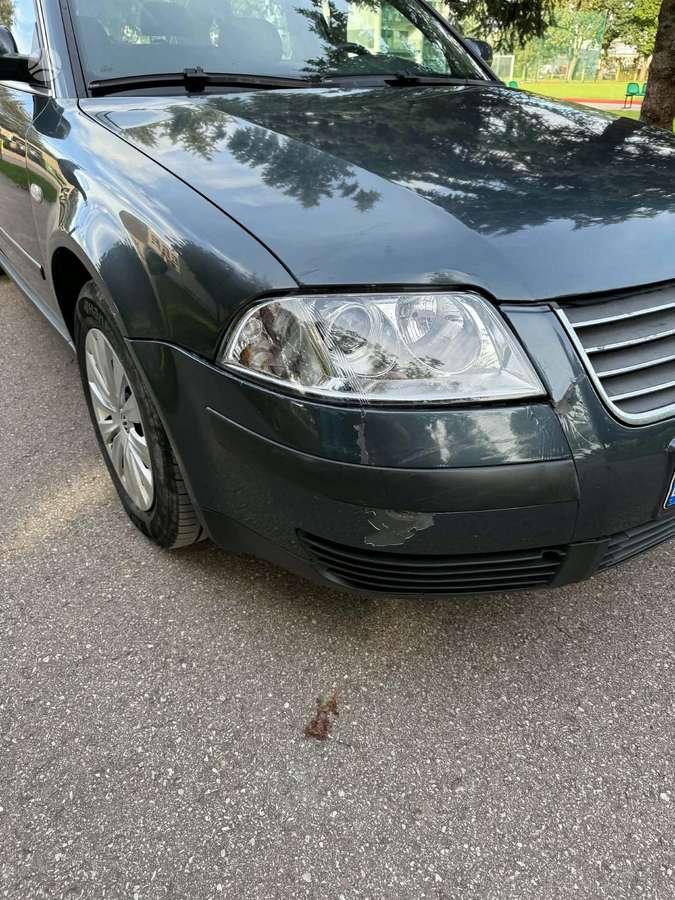 Volkswagen Passat - 10