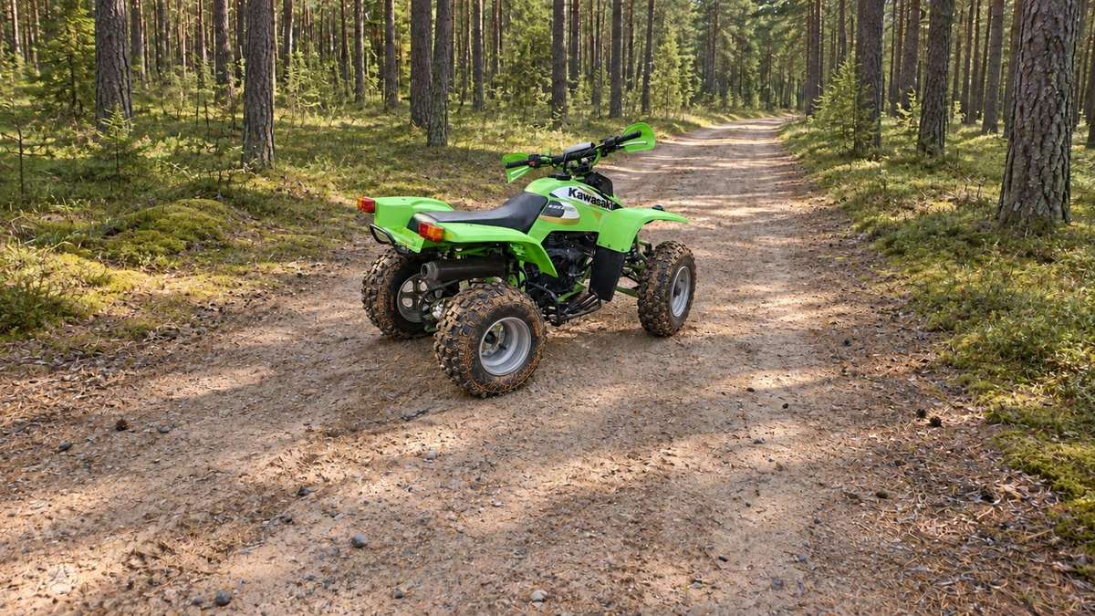 Kawasaki KFX 250cc, квадроциклы