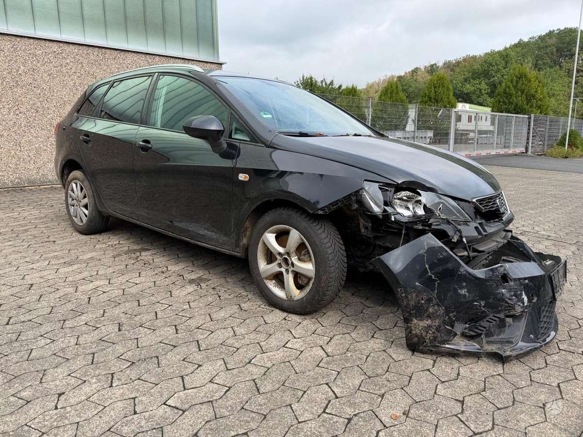 Seat Ibiza dalimis