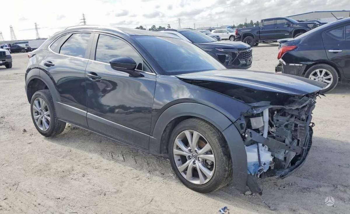 Mazda CX-30 dalimis