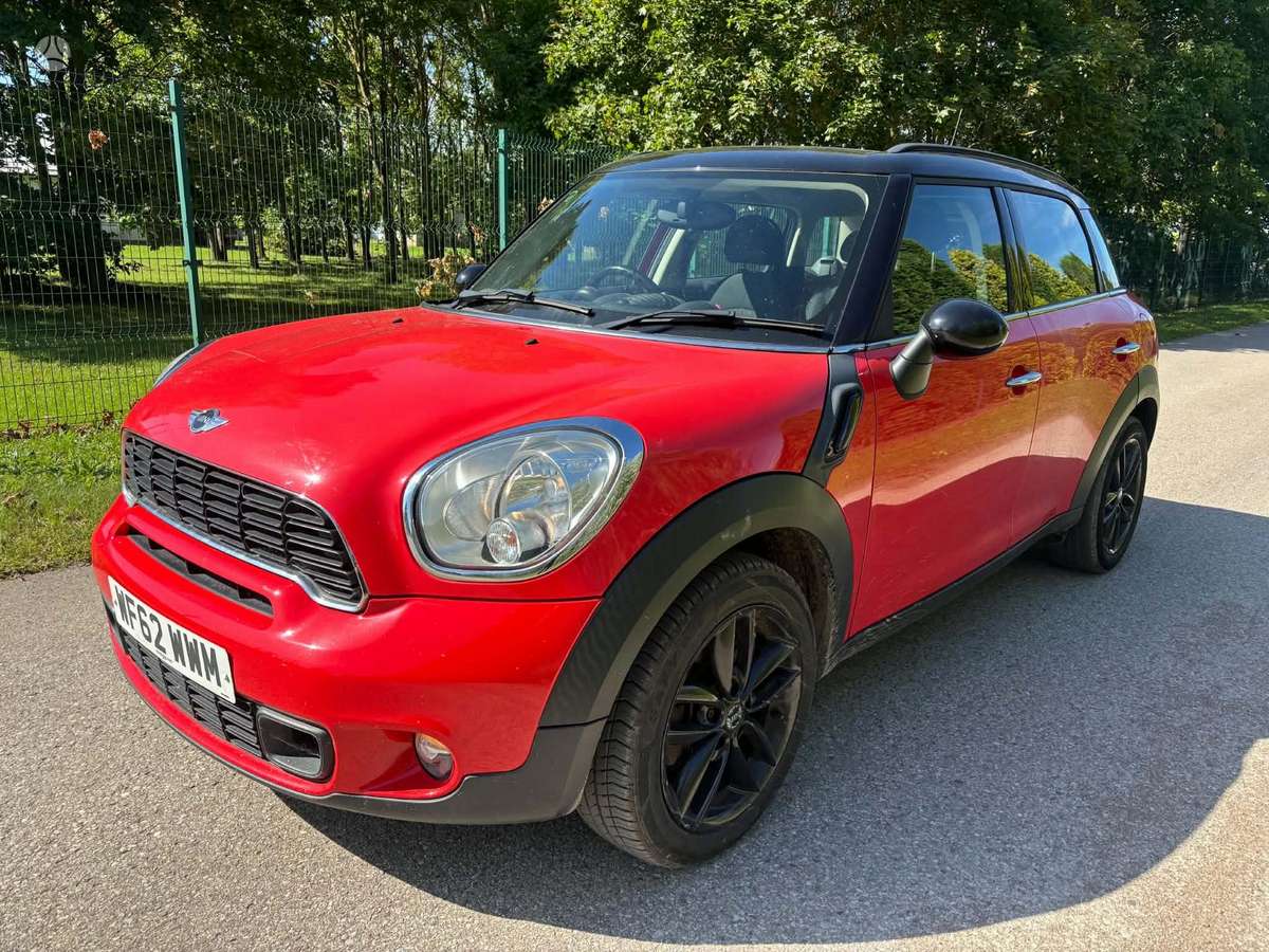 Mini Countryman S Dalimis