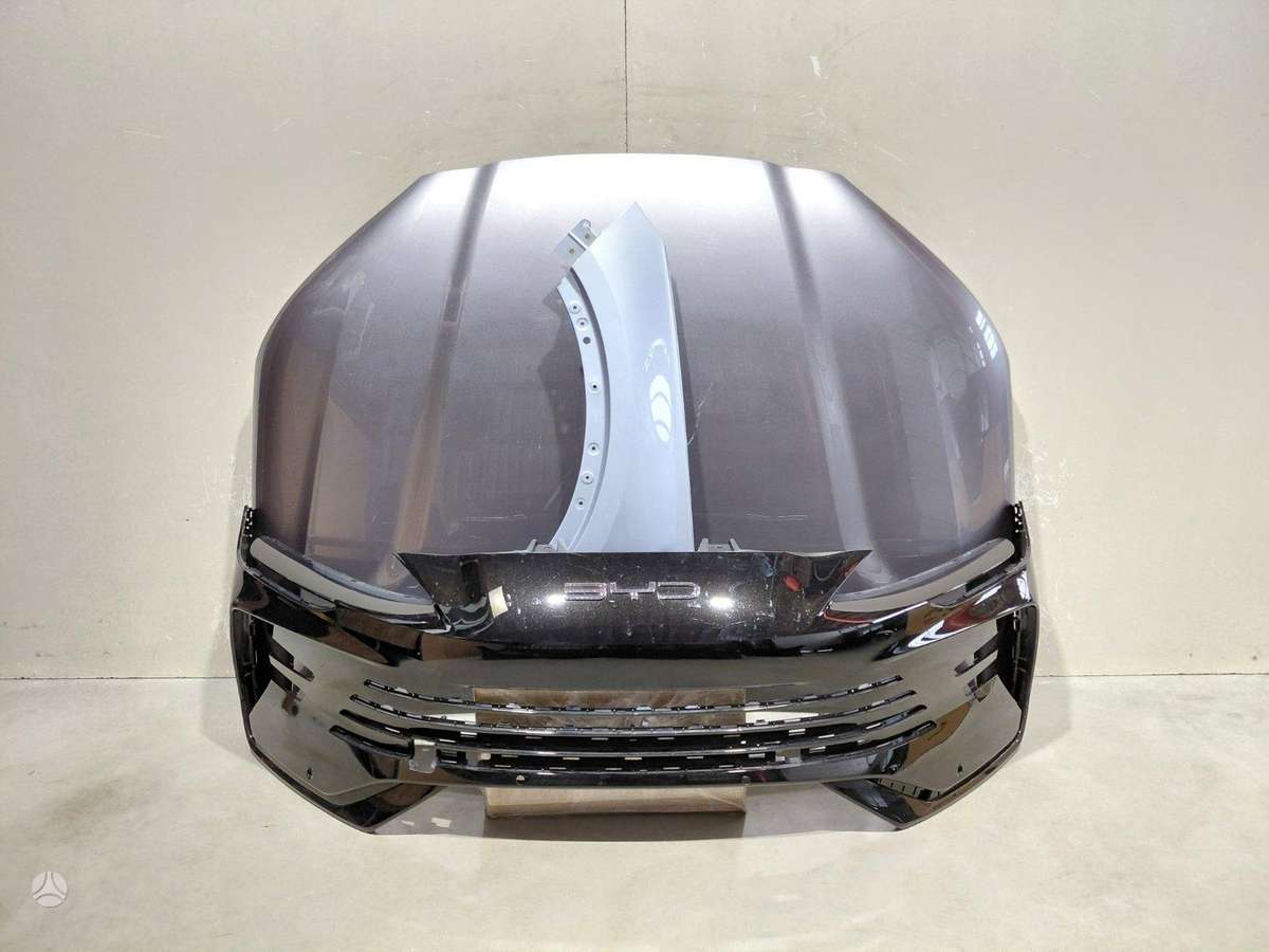 BYD Seal U