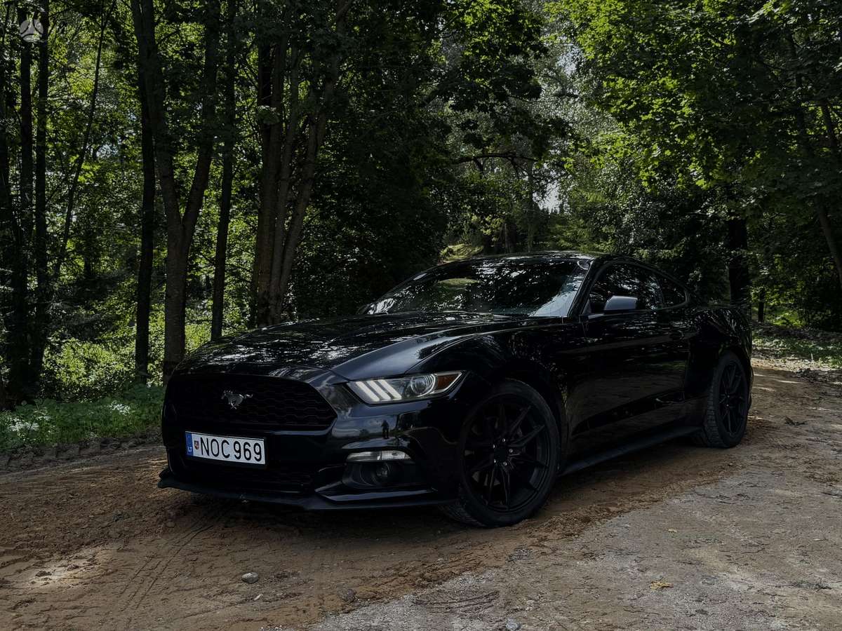 Ford Mustang - 1