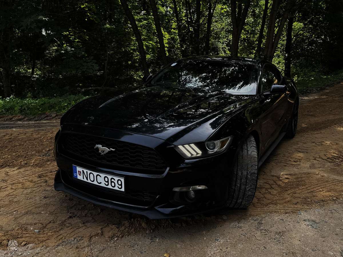 Ford Mustang - 2