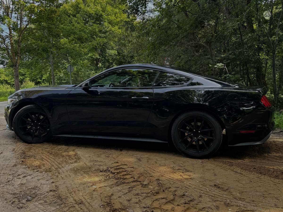 Ford Mustang - 3