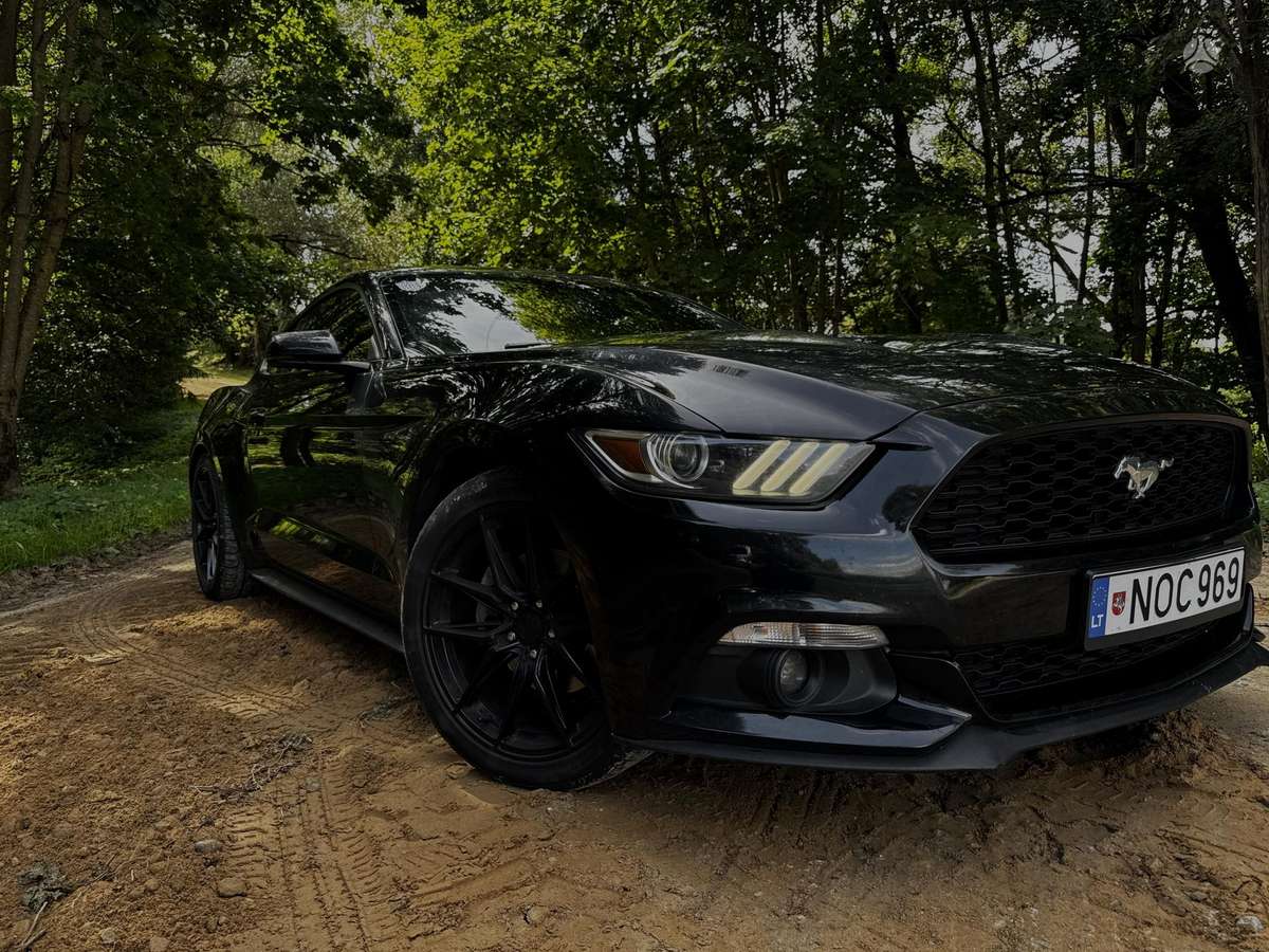 Ford Mustang - 9