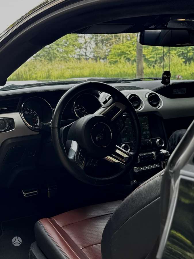 Ford Mustang - 10