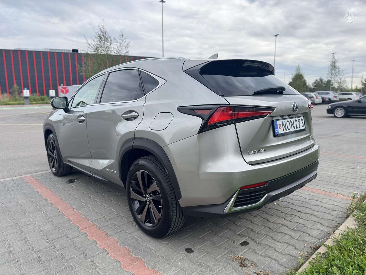 Lexus NX 300h - 6