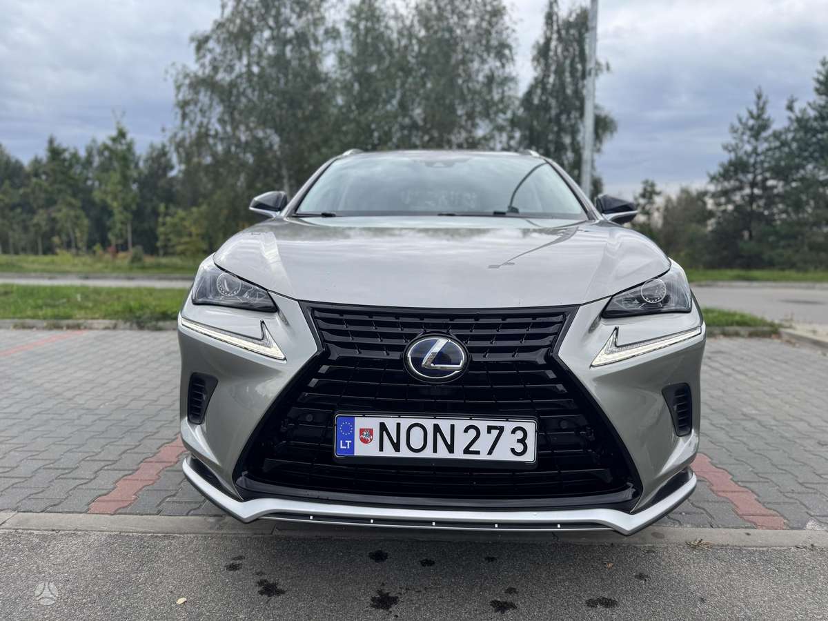 Lexus NX 300h - 2