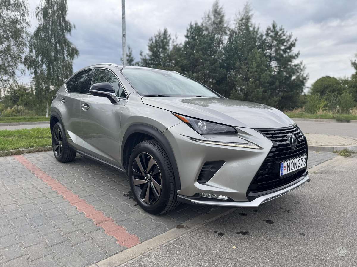Lexus NX 300h - 3