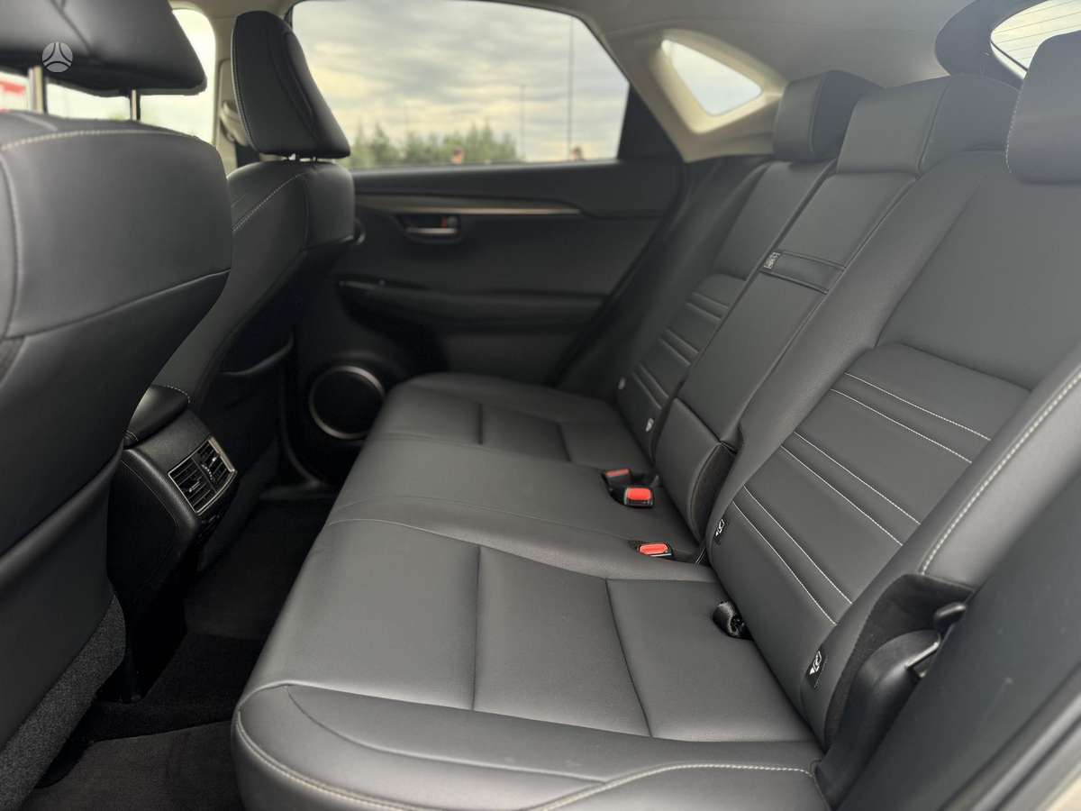 Lexus NX 300h - 10