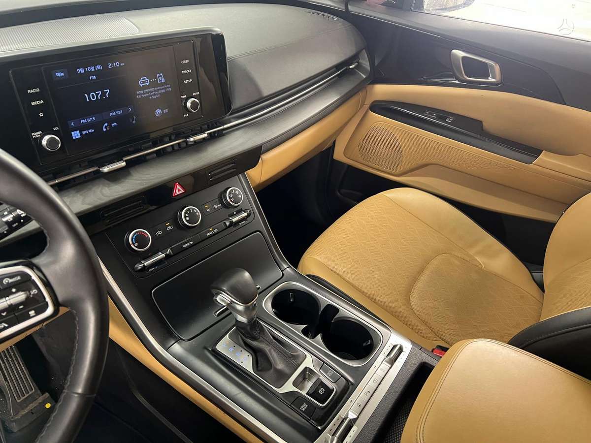 KIA Carnival - 9
