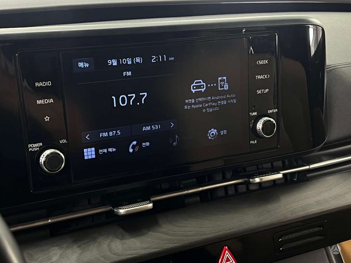 KIA Carnival - 12