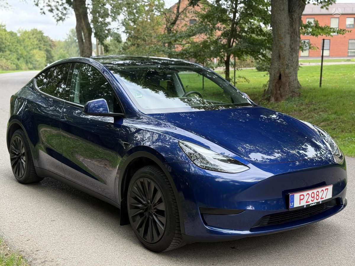 Tesla Model Y, Хэтчбек