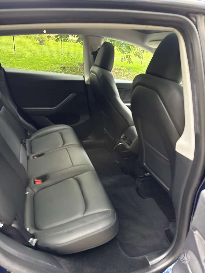 Tesla Model Y, Хэтчбек