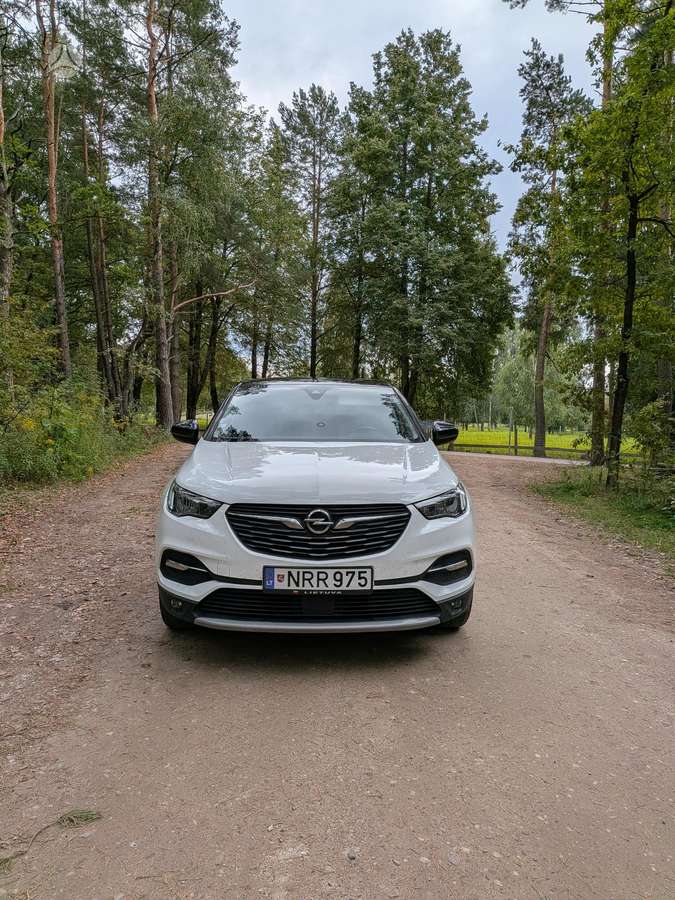 Opel Grandland X - 1