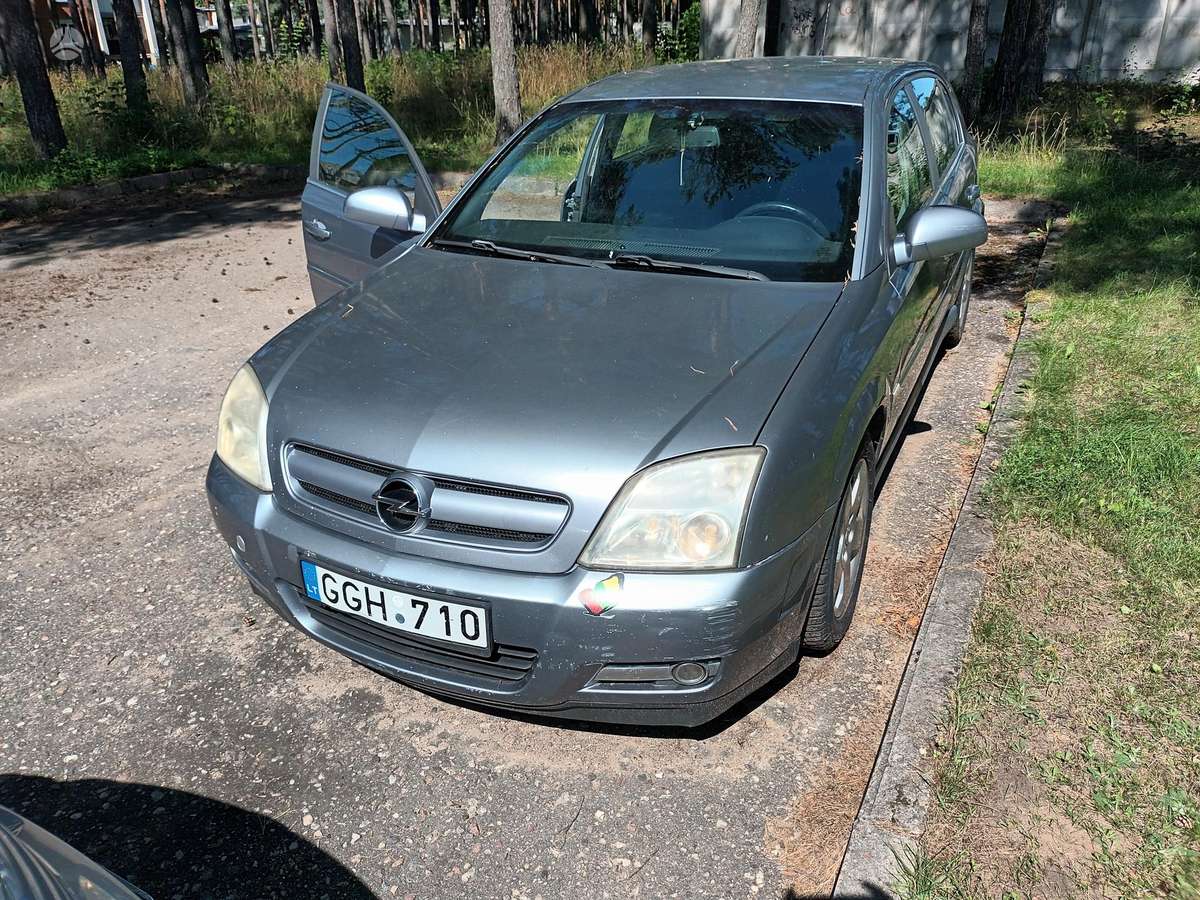Opel Signum - 6